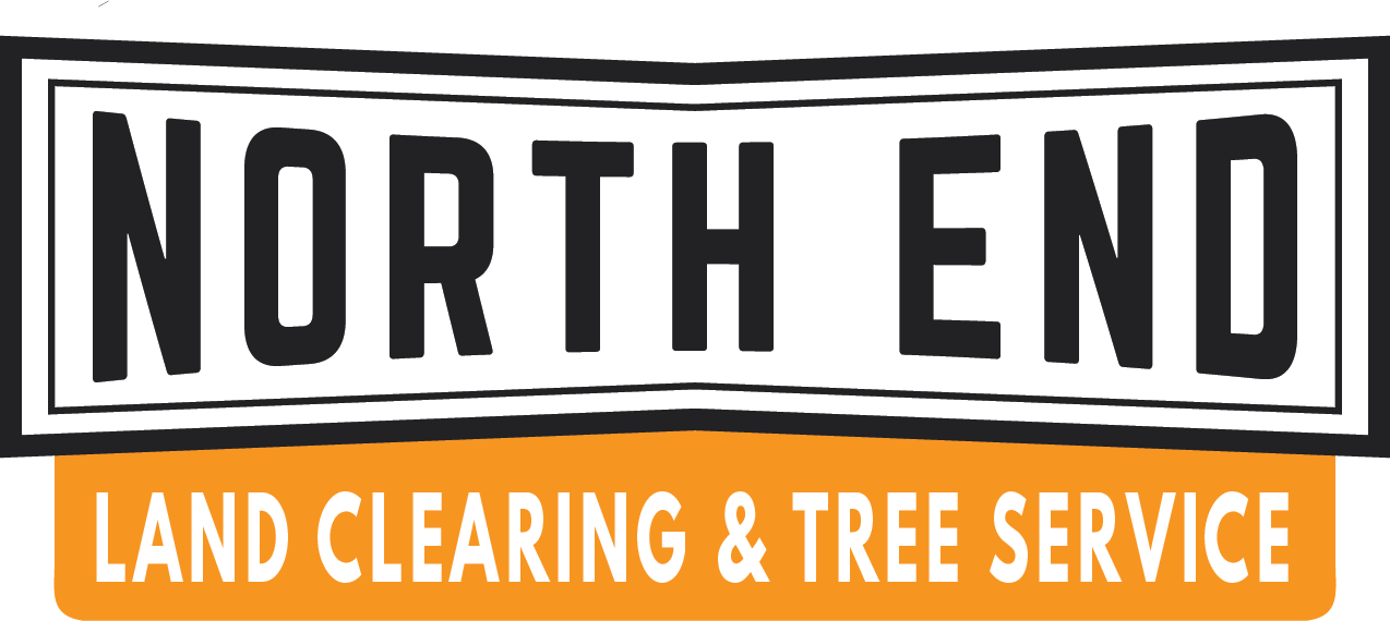 nelcts-logo-3